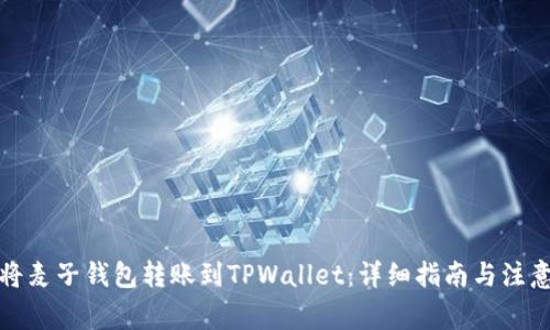 如何将麦子钱包转账到TPWallet：详细指南与注意事项