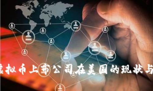 2023年虚拟币上市公司在美国的现状与趋势分析