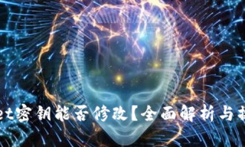 TPWallet密钥能否修改？全面解析与操作指南