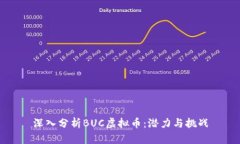 深入分析BUC虚拟币：潜力