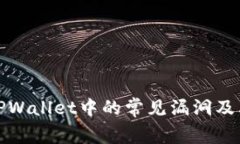彻底分析TPWallet中的常见漏