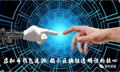 虚拟币钱包追溯：揭示区块链透明性的核心