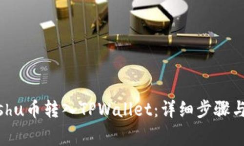 如何将Kishu币转入TPWallet：详细步骤与注意事项