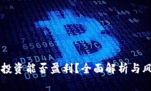 虚拟币投资能否盈利？全面解析与风险提示