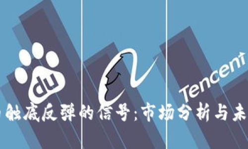 虚拟币触底反弹的信号：市场分析与未来展望