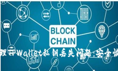 如何处理TPWallet私钥丢失问题：安全恢复指南