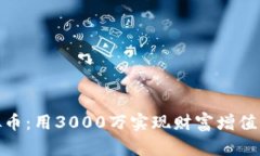 : 投资虚拟币：用3000万实
