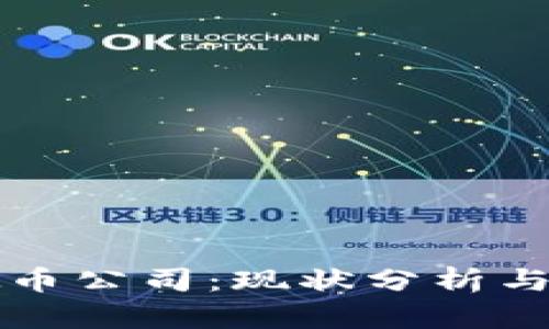 国内虚拟币公司：现状分析与未来发展