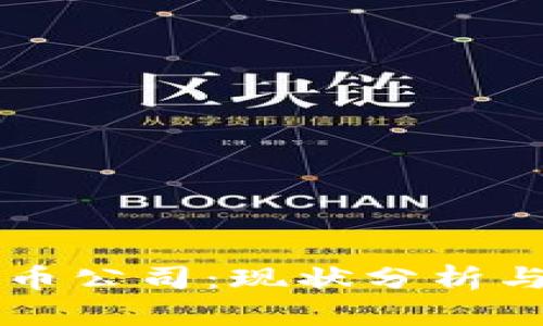 国内虚拟币公司：现状分析与未来发展