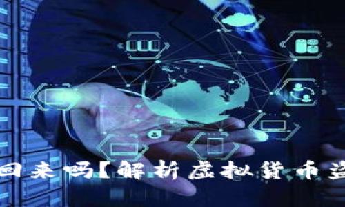 盗钱包虚拟币可以找回来吗？解析虚拟货币盗窃的法律与技术挑战