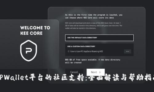 TPWallet平台的社区支持：全面解读与帮助指南
