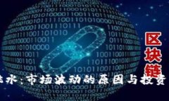 虚拟币跳水：市场波动的