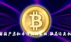 了解国产虚拟币传销的真