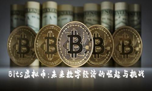 Bits虚拟币：未来数字经济的崛起与挑战