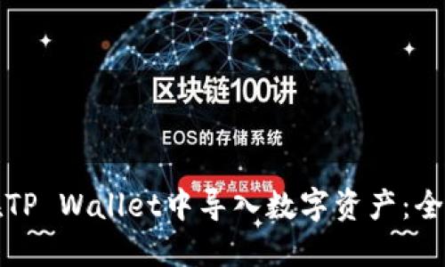 如何在TP Wallet中导入数字资产：全面指南