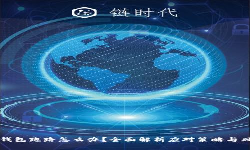 虚拟币钱包跑路怎么办？全面解析应对策略与风险防范