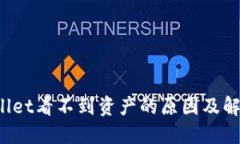  TPWallet看不到资产的原因及解决方案