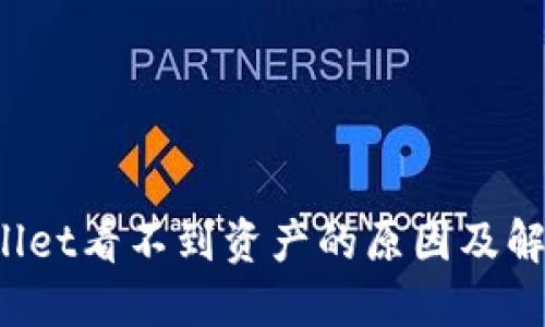  TPWallet看不到资产的原因及解决方案