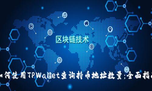 如何使用TPWallet查询持币地址数量：全面指南