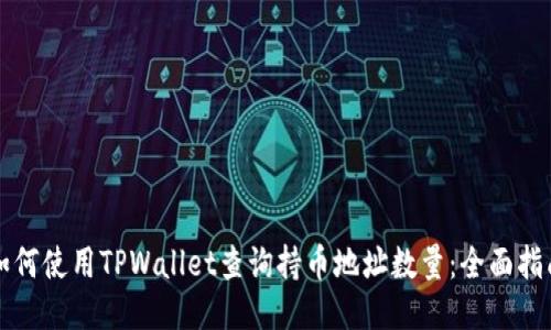如何使用TPWallet查询持币地址数量：全面指南