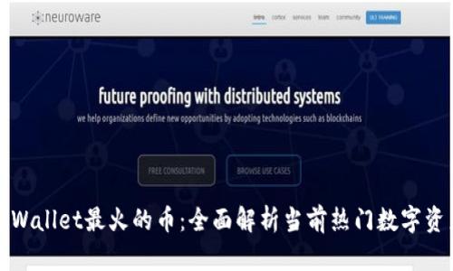 TPWallet最火的币：全面解析当前热门数字资产