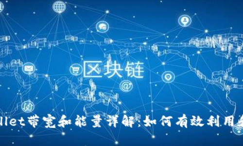 TPWallet带宽和能量详解：如何有效利用和管理