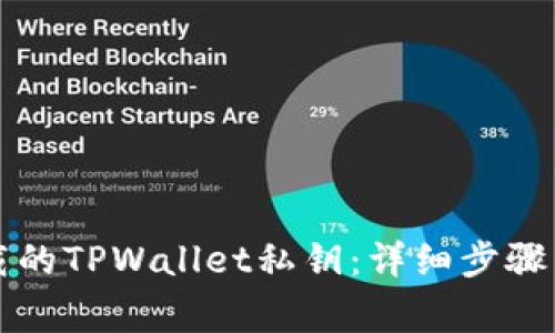 如何导入新下载的TPWallet私钥：详细步骤与常见问题解析
