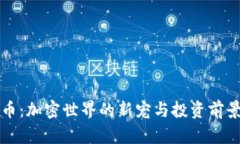 骷髅币：加密世界的新宠