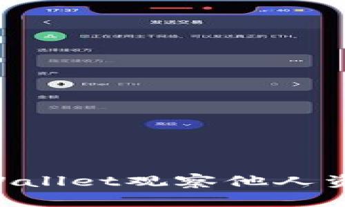 如何使用TPWallet观察他人资产：全面指南