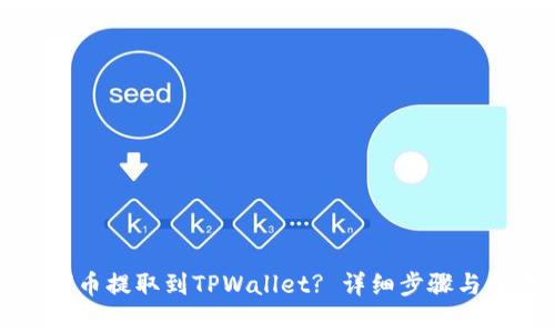 如何将BZZ代币提取到TPWallet? 详细步骤与注意事项解析