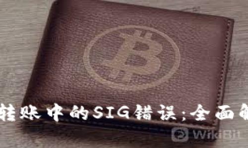 解决TPWallet转账中的SIG错误：全面解析与解决方案