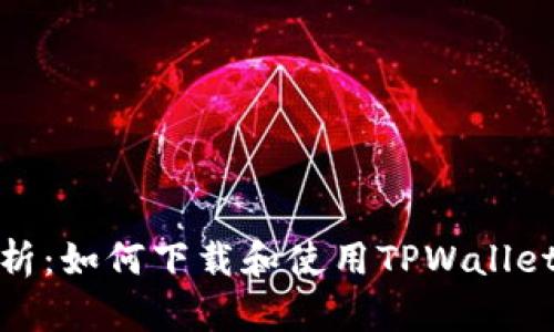 : 全面解析：如何下载和使用TPWallet观察钱包