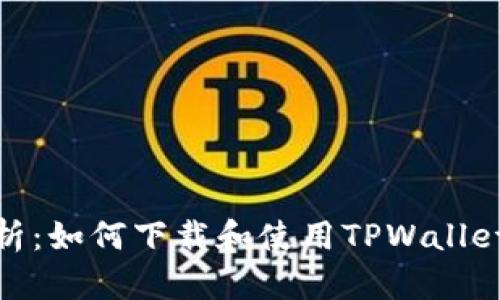: 全面解析：如何下载和使用TPWallet观察钱包