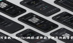 如何查找TPWallet地址：获取和管理您的数字资产