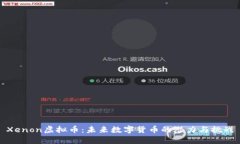 Xenon虚拟币：未来数字货币的潜力与挑战