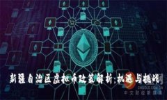 新疆自治区虚拟币政策解析：机遇与挑战