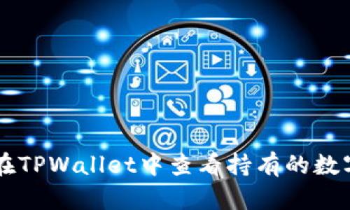 如何在TPWallet中查看持有的数字货币