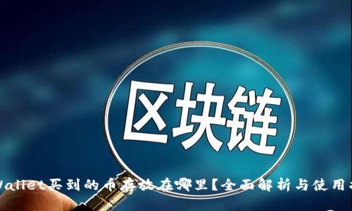 TPWallet买到的币存放在哪里？全面解析与使用指南