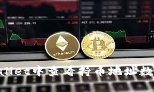如何在TPWallet中查看持币地址数量：完整指南