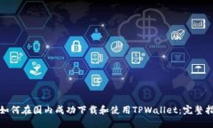 : 如何在国内成功下载和使