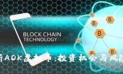 深入解析ADK虚拟币：投资机会与风险10大点