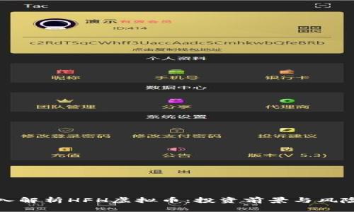 : 深入解析HFH虚拟币：投资前景与风险分析