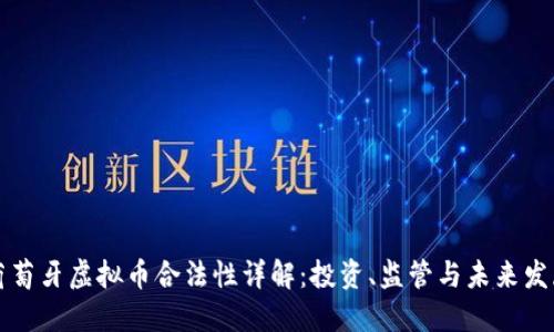 葡萄牙虚拟币合法性详解：投资、监管与未来发展