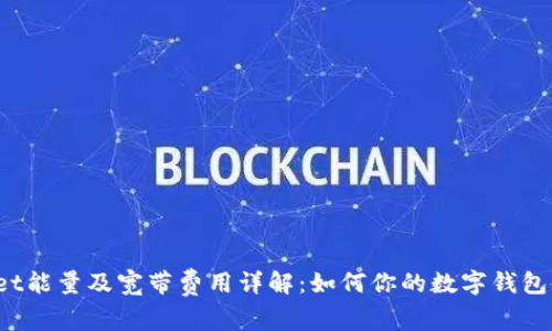  TPWallet能量及宽带费用详解：如何你的数字钱包使用体验