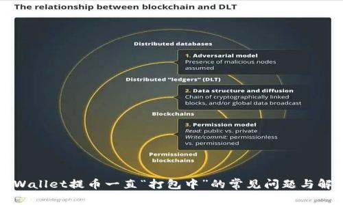 解决TPWallet提币一直“打包中”的常见问题与解决方案