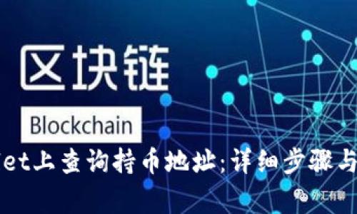 如何在TPWallet上查询持币地址：详细步骤与常见问题解析