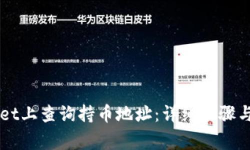 如何在TPWallet上查询持币地址：详细步骤与常见问题解析