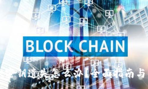 :
TPWallet密钥遗失怎么办？全面指南与解决方案