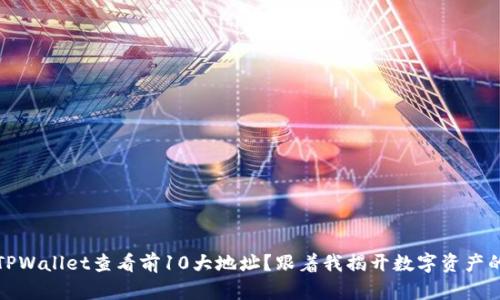 如何通过TPWallet查看前10大地址？跟着我揭开数字资产的神秘面纱