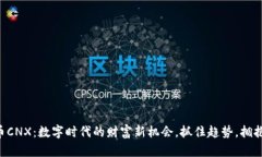 虚拟币CNX：数字时代的财富新机会，抓住趋势，